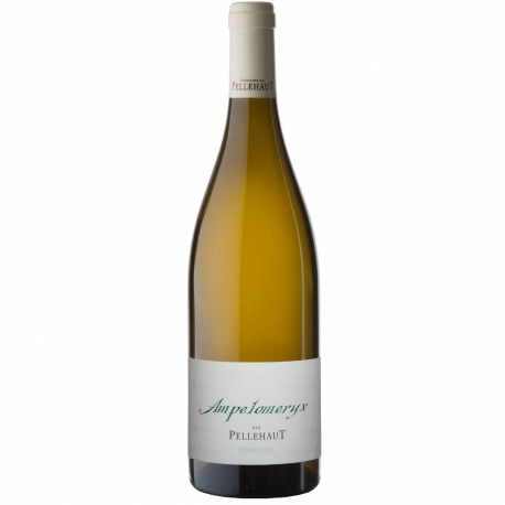 Ampéloméryx blanc - Pellehaut