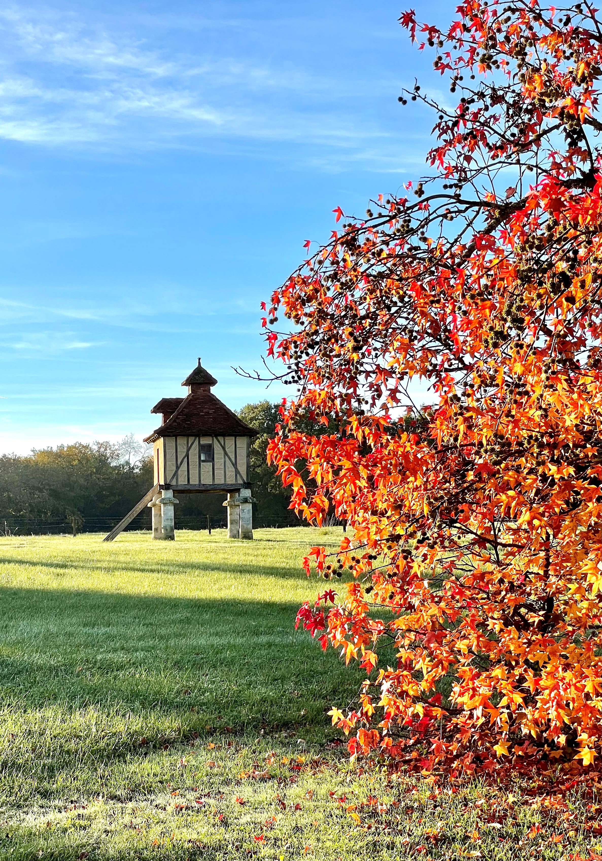 pigeonnier automne