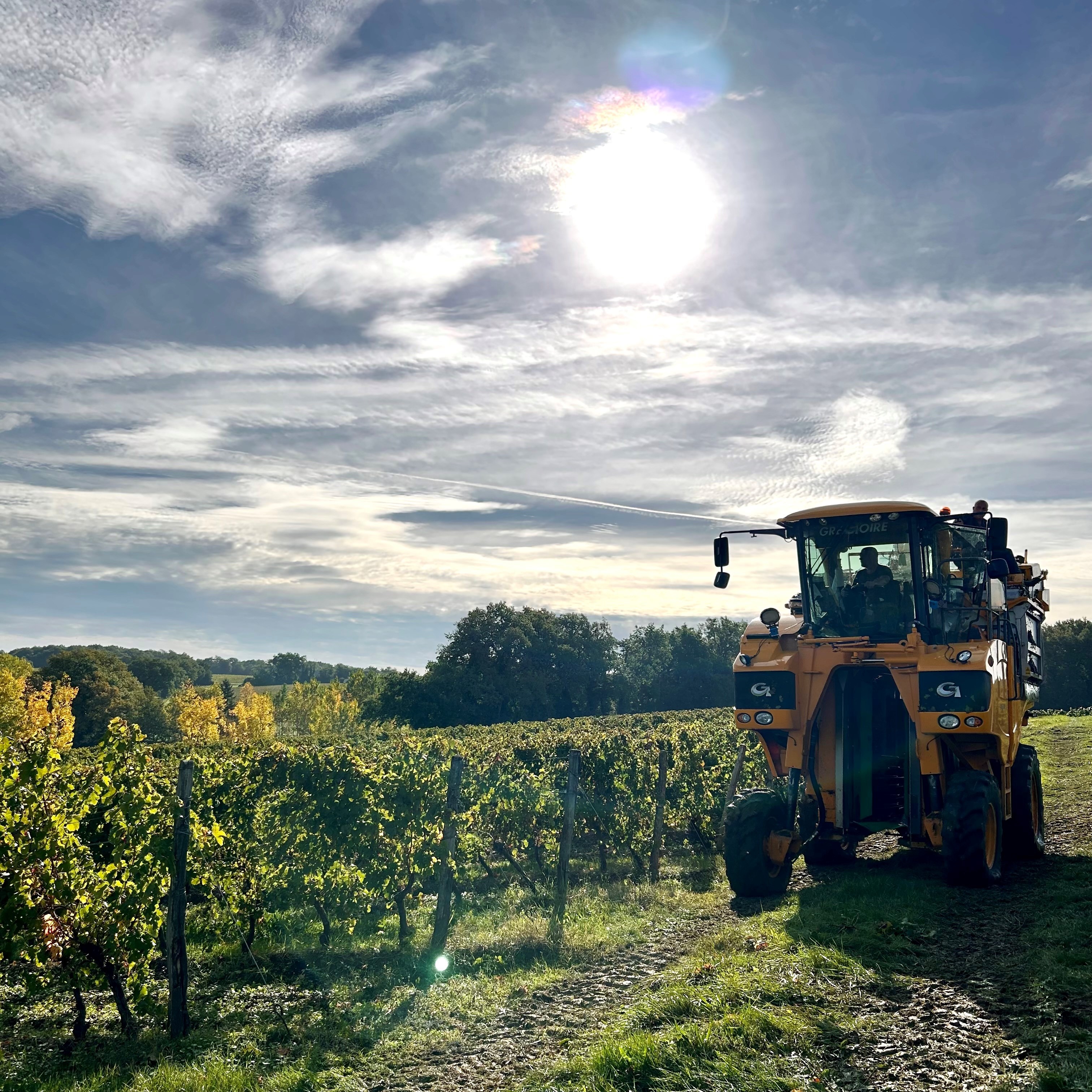 04/10/2024:Les vendanges